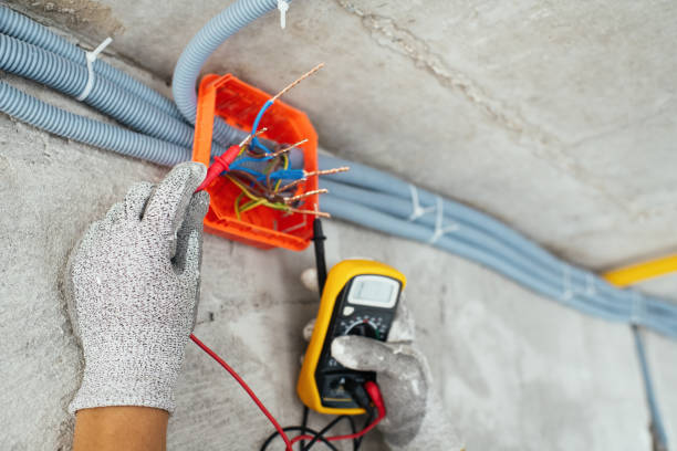 Best Electric Panel Repair  in Limestone Creek, FL